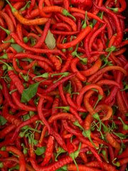 Load image into Gallery viewer, Hot Pepper, &#39;Aci Sivri&#39;
