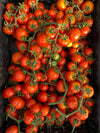 Tomato, 'Annarita'