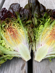 Load image into Gallery viewer, Lettuce, &#39;Queen of Hearts&#39;

