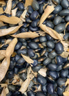 Bean, Pole Dry, 'San Bernardo Blue'