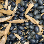 Load image into Gallery viewer, Bean, Pole Dry, &#39;San Bernardo Blue&#39;
