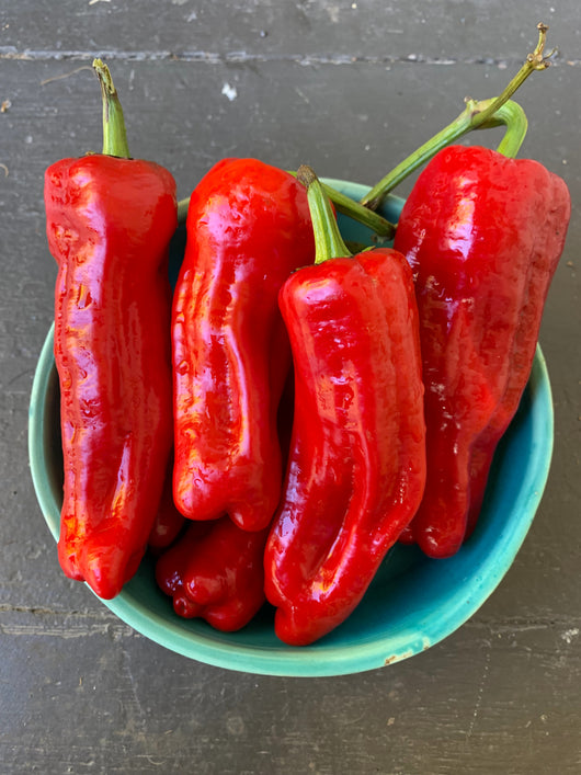 Sweet Pepper, 'Tatlı Üçburun'