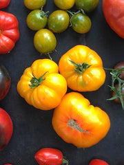 Load image into Gallery viewer, Tomato, &#39;Afghan&#39;
