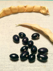 Load image into Gallery viewer, Bean, Pole Dry, &#39;Tolosa&#39;
