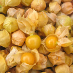 Load image into Gallery viewer, Ground Cherry &#39;Aunt Molly&#39;s&#39;
