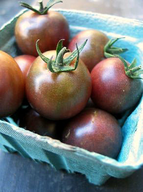 Tomato, 'Black Cherry'