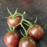 Load image into Gallery viewer, Tomato, &#39;Black Cherry&#39;
