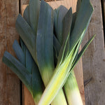 Load image into Gallery viewer, Leek, &#39;Blaugruner Avano&#39;
