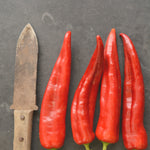 Load image into Gallery viewer, Sweet Pepper, &#39;Bridge to Paris&#39;
