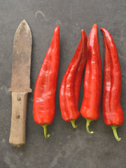 Load image into Gallery viewer, Sweet Pepper, &#39;Bridge to Paris&#39;
