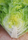 Lettuce, 'La Brillante'