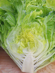 Load image into Gallery viewer, Lettuce, &#39;La Brillante&#39;
