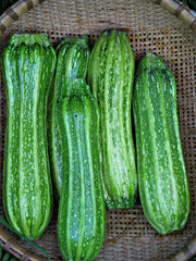 Load image into Gallery viewer, Zucchini, &#39;Costata Romanesco&#39;
