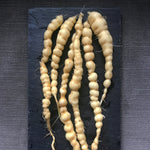 Load image into Gallery viewer, Cucumber (Mexican Sour Gherkin, Cucamelon), &#39;Sandita&#39;
