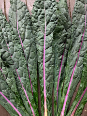 Load image into Gallery viewer, Kale, &#39;Dazzling Blue&#39;
