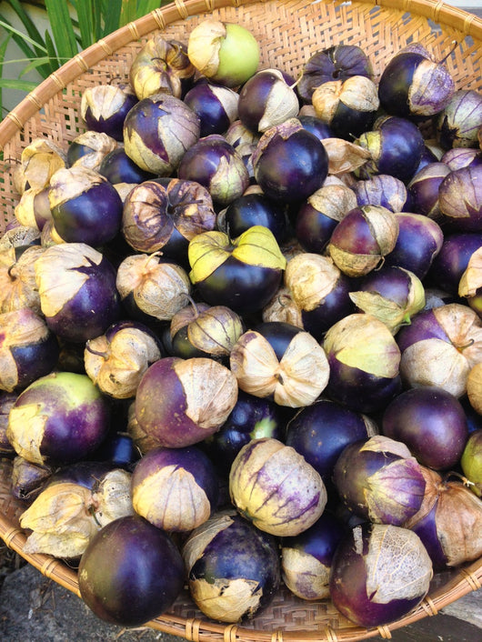 Tomatilla, 'De Milpa'