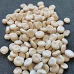 Load image into Gallery viewer, Sweet Lupine, &#39;Dieta&#39;
