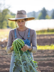 Load image into Gallery viewer, Broccoli, &#39;Broccolo Fiolaro di Creazzo&#39;
