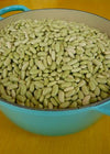 Bean, Bush Dry, 'Flageolet Vert'