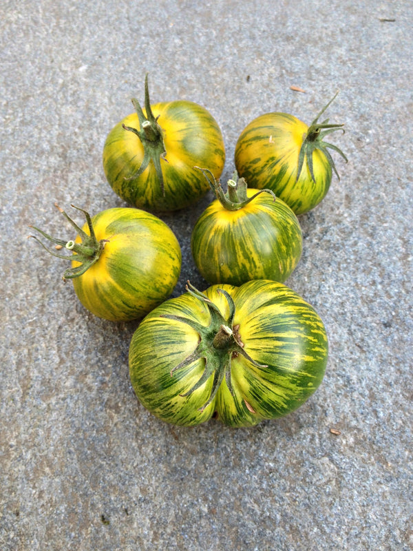 Tomato, 'Green Zebra'