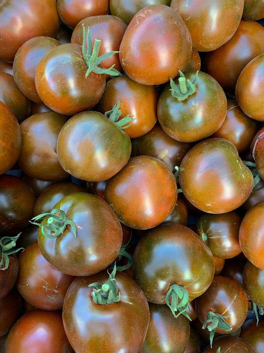 Tomato, 'Black Prince'