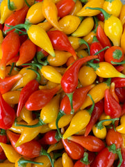 Load image into Gallery viewer, Hot Pepper, &#39;Biquinho Yellow&#39;
