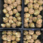 Load image into Gallery viewer, Celeriac, &#39;Monarch&#39;
