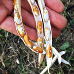 Load image into Gallery viewer, Bean, Bush Dry, &#39;Jacob&#39;s Gold&#39;
