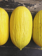 Load image into Gallery viewer, Melon, &#39;Giallo d&#39;Inverno&#39;
