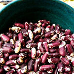 Load image into Gallery viewer, Bean, Bush Dry, &#39;Jacob&#39;s Cattle&#39;
