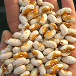 Load image into Gallery viewer, Bean, Bush Dry, &#39;Jacob&#39;s Gold&#39;
