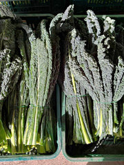 Load image into Gallery viewer, Kale, &#39;Lapo&#39; (Lacinato, Nero di Toscana)
