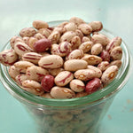 Load image into Gallery viewer, Bean, Bush Dry, &#39;Lina Sisco&#39;s Bird Egg&#39;
