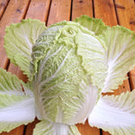 Load image into Gallery viewer, Napa/Chinese Cabbage, &#39;Matsushima #2&#39;
