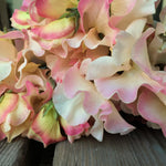 Load image into Gallery viewer, Sweet Pea, &#39;Mollie Rilstone&#39;
