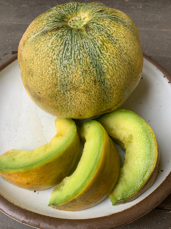 Melon, 'Moscatello'