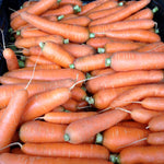 Load image into Gallery viewer, Carrot, &#39;Scarlet Nantes&#39;
