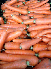 Load image into Gallery viewer, Carrot, &#39;Scarlet Nantes&#39;
