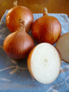 Storage Onion, 'New York Early'