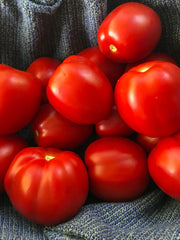 Load image into Gallery viewer, Tomato, &#39;Northern Ruby&#39;
