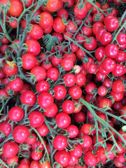 Load image into Gallery viewer, Tomato, &#39;Pinky&#39;
