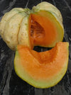 Melon, 'Prescott Fond Blanc'