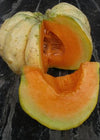 Melon, 'Prescott Fond Blanc'