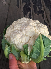 Load image into Gallery viewer, Cauliflower, &#39;Prestige&#39;

