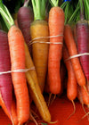 Carrot, 'Rainbow Mix'
