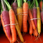 Load image into Gallery viewer, Carrot, &#39;Rainbow Mix&#39;
