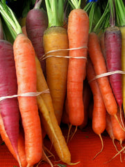 Load image into Gallery viewer, Carrot, &#39;Rainbow Mix&#39;
