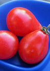Tomato, 'Red Fig'