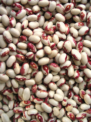 Bean, Bush Dry, 'Tiger's Eye