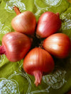 Storage Onion, 'Rossa di Milano'